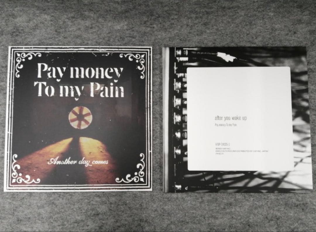 邦楽 Pay money To my Pain VINYL COMPLETE BOX