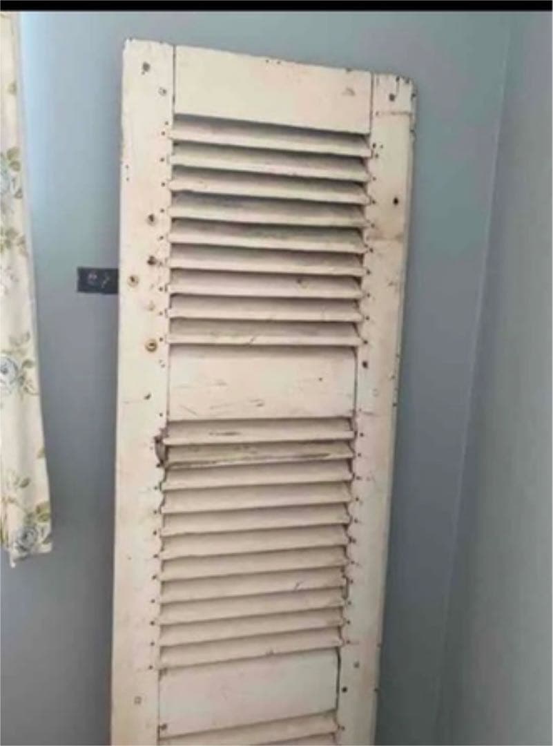 ⋱♱⋰ ⋱♱フランス　　ルーバー⋱♱⋰ ⋱✮⋰ ⋱♱