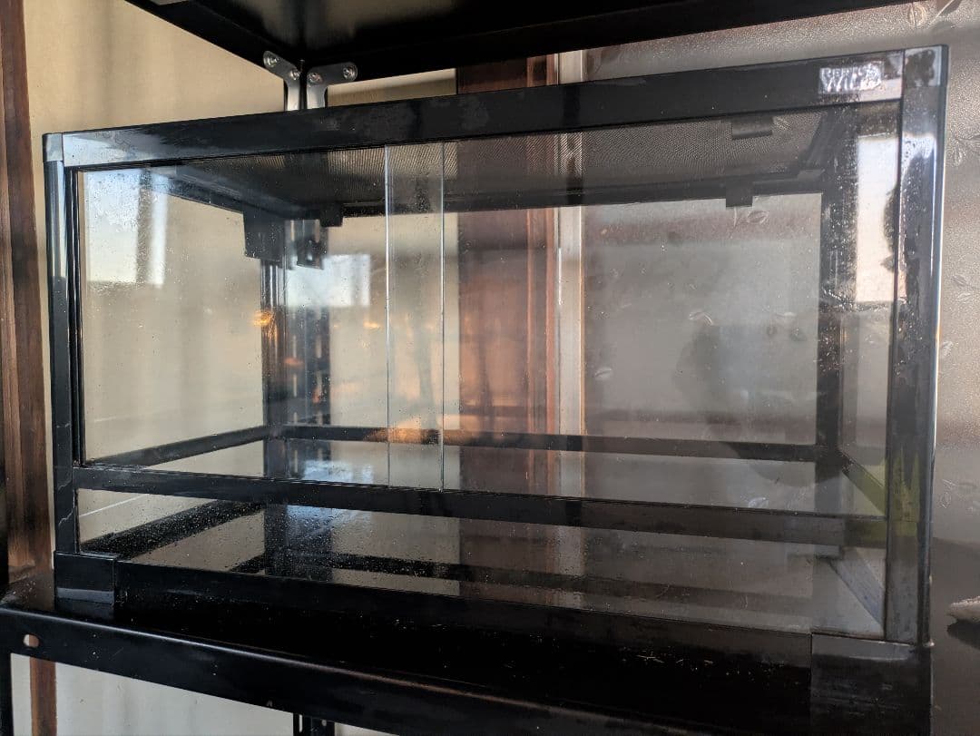 パンテオン　ブラック60×35