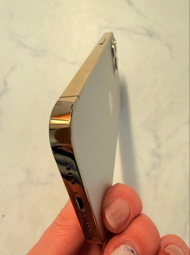 Apple iPhone 12 pro 【美品】256G バッテリー新品