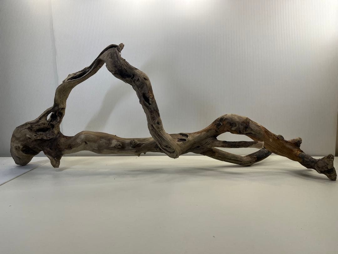 k36特大流木 アク抜き済み 爬虫類シェルター レイアウト用 登り木 インテリア