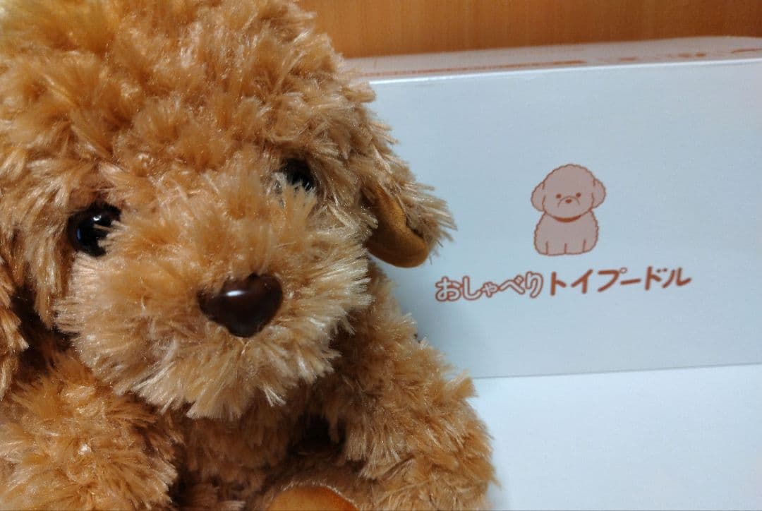 大人向け 音声認識 ぬいぐるみ 【 おしゃべりトイプードル】電池付き