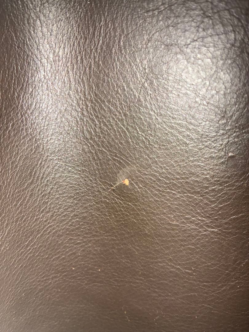 MAX CADYs clothing革ジャン