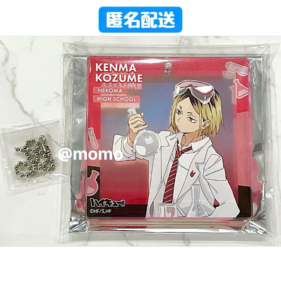 ハイキュー‼︎ 孤爪研磨 BIGオーロラブロッキー ショウワノート おみくじ