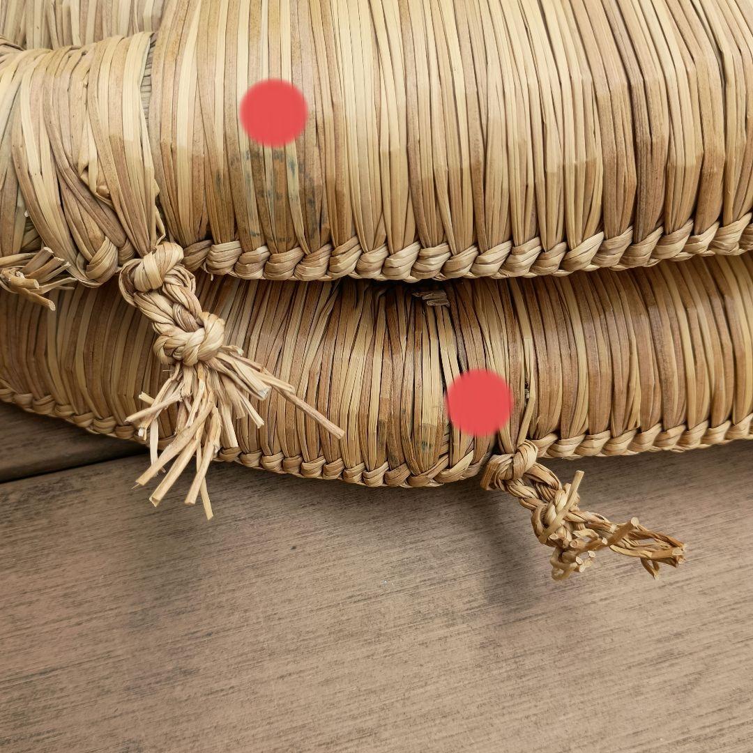 【希少】 円座 い草 うずまき２枚