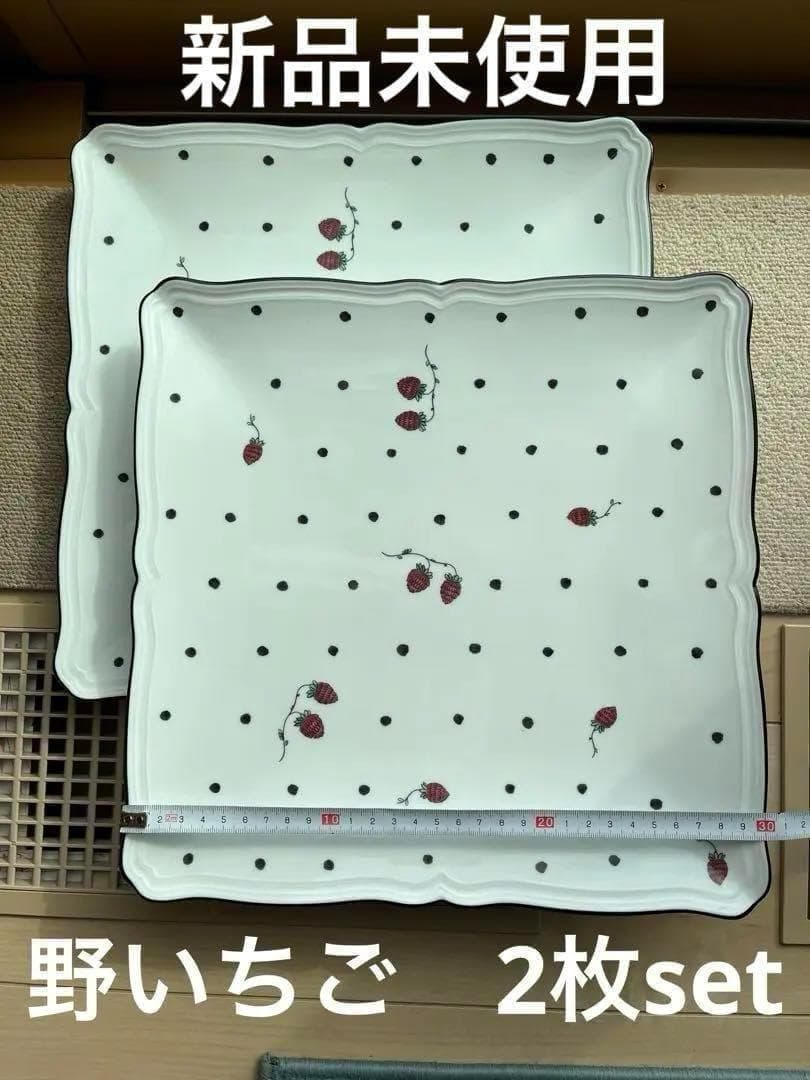 リチャードジノリ イタリアンポア / 野いちご（30㎝） No1