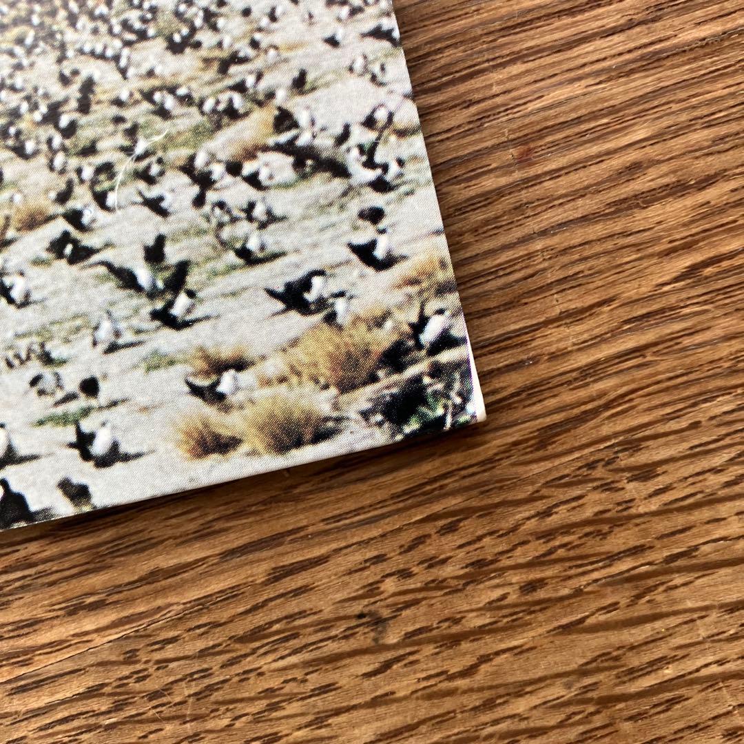 【帯付オリジナルLP】高中正義 SEYCHELLES レコード