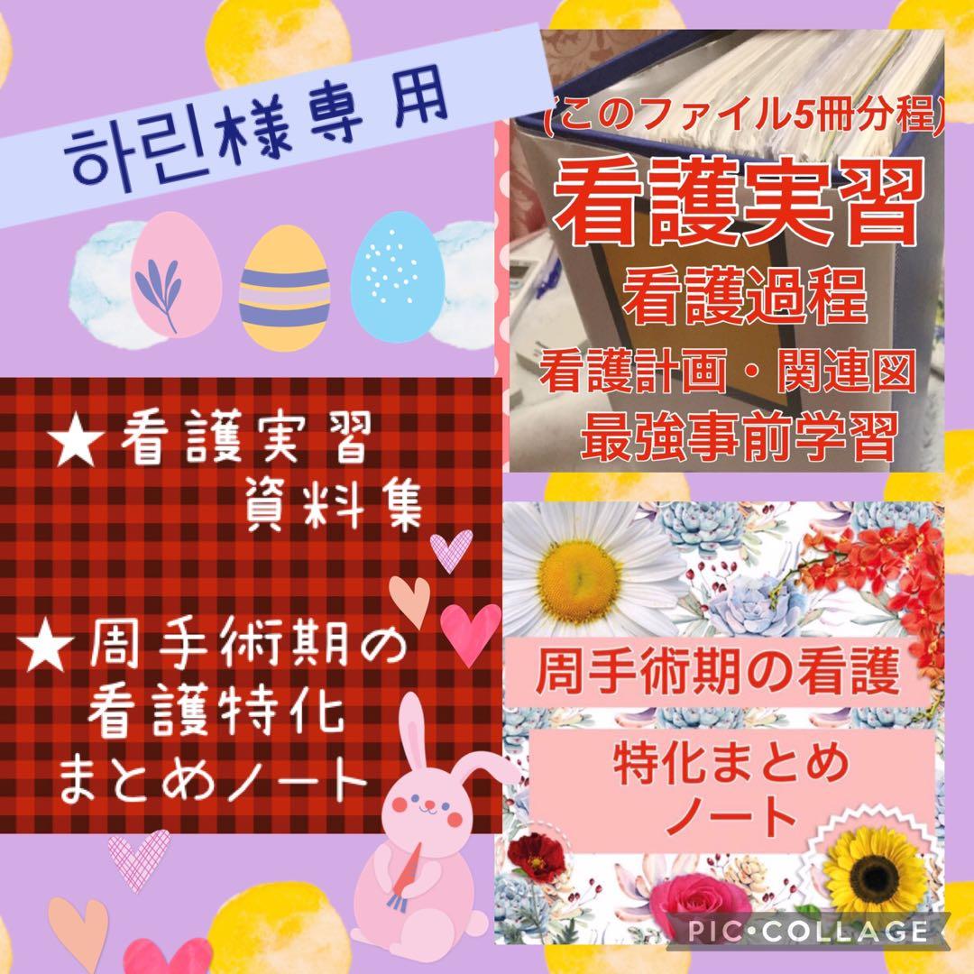 専用 看護学生 看護実習 手順書 関連図 計画 看護過程 周手術期 国家試験