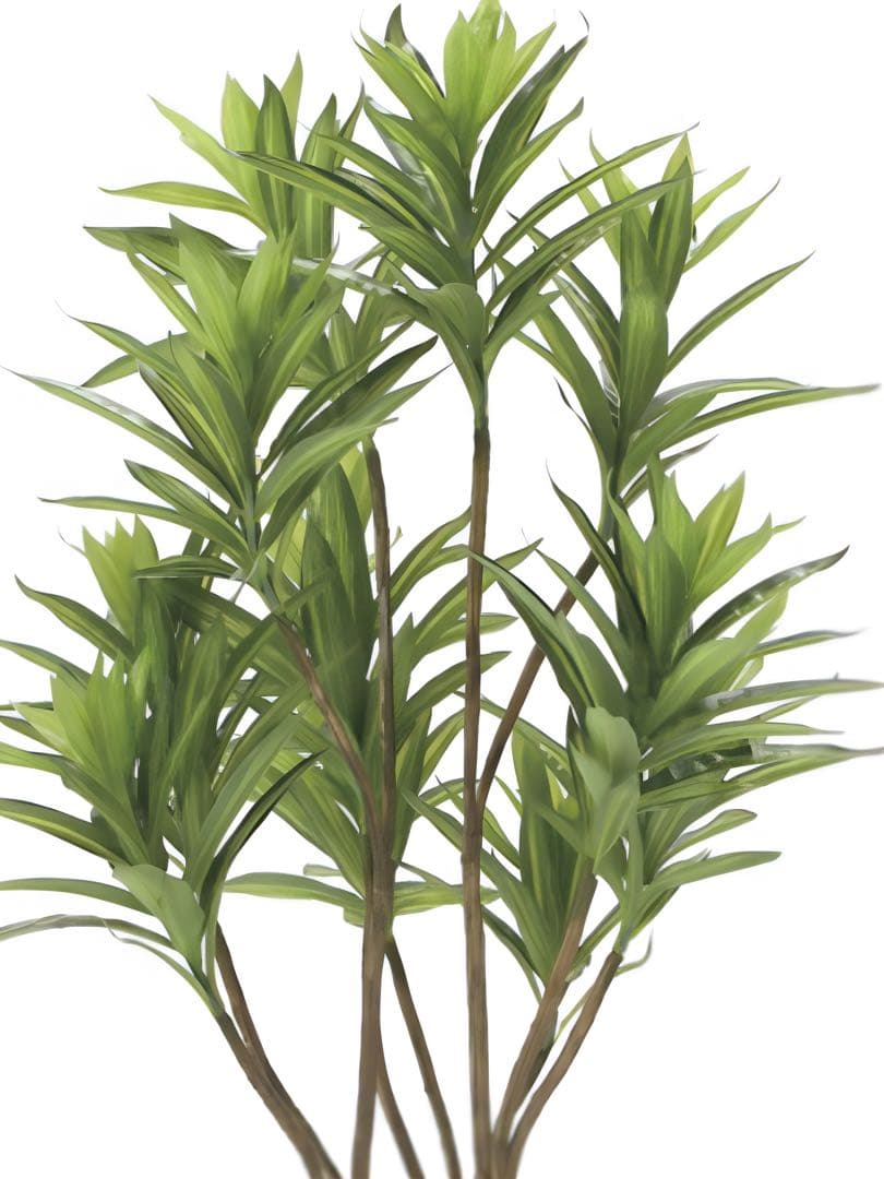 光触媒　人工観葉植物　フェイクグリーン　フレッシュドラセナ1.2m