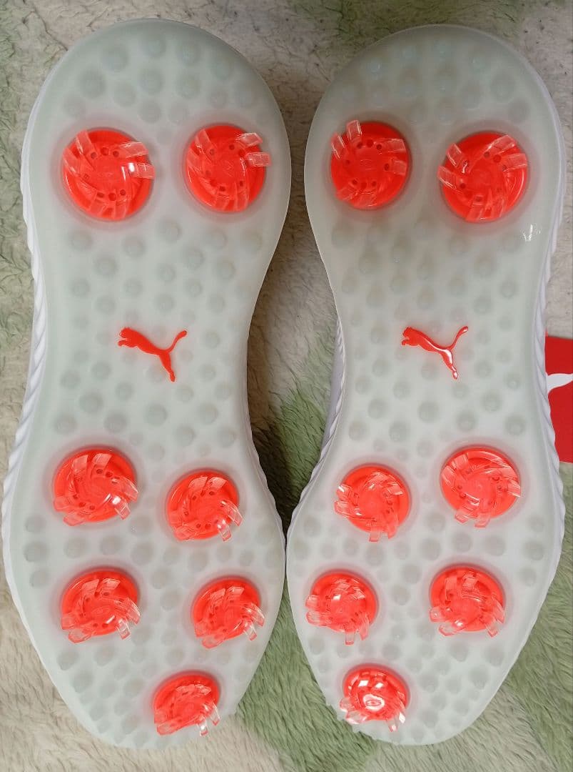 プーマ ゴルフシューズ　IGNITE　25.0㎝