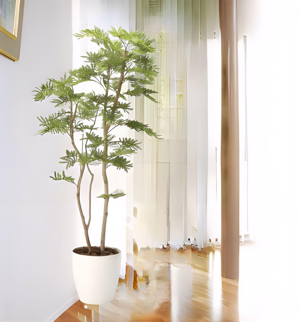 光触媒　人工観葉植物　ウォールグリーン　フェイクグリーン　ねむの木1.6m