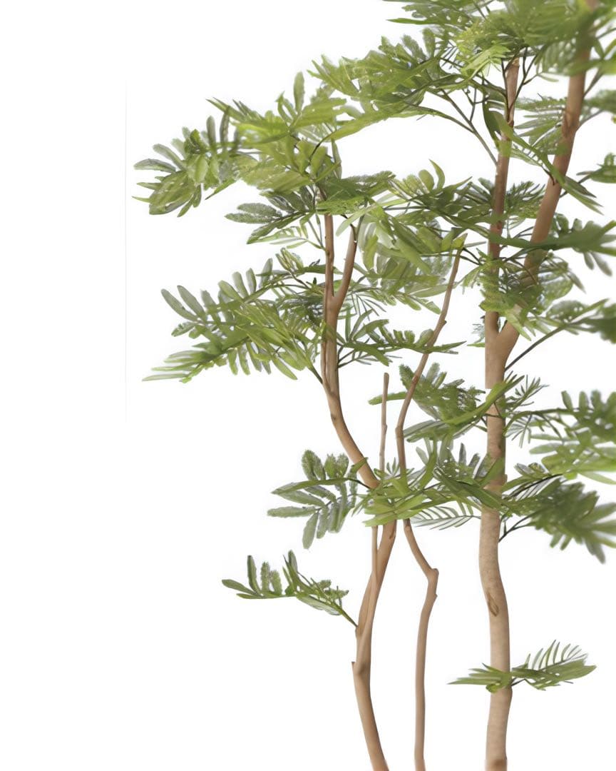 光触媒　人工観葉植物　ウォールグリーン　フェイクグリーン　ねむの木1.6m