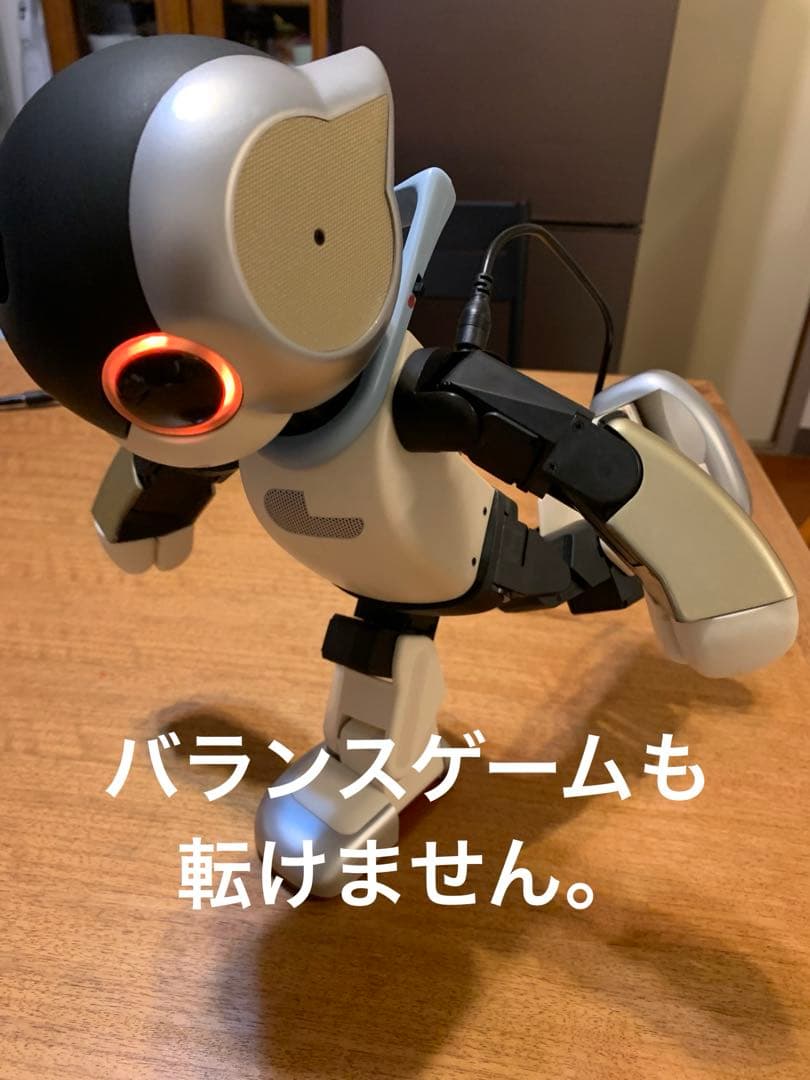 H*i様 ロビ 2DX版　バッテリー不要、外部電源完動品　オーナー愛称登録してお