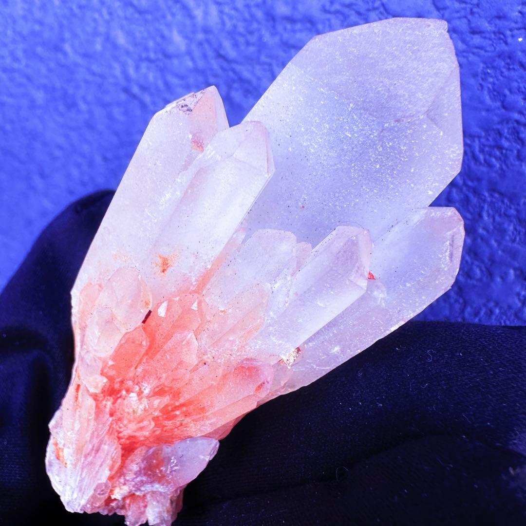 爆アレ❗️可愛いピンク♡超綺麗マダガスカル産パイナップルピンククラスターA1489