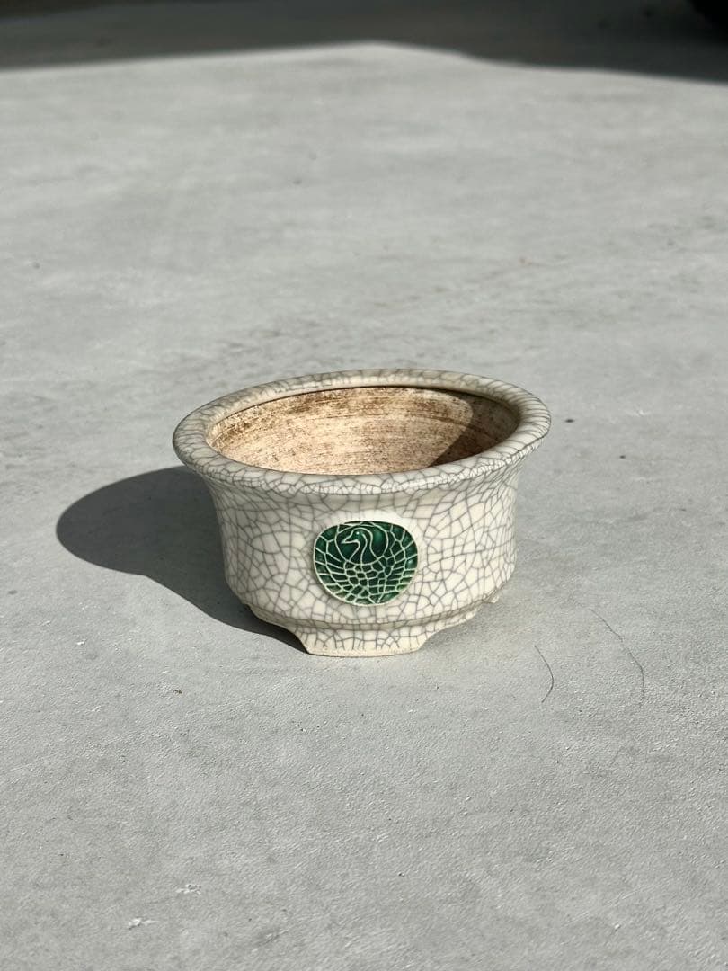 【名工】常滑焼 美功 盆栽鉢 4点まとめ売り 小品盆栽 梨地 貫入 海鼠釉