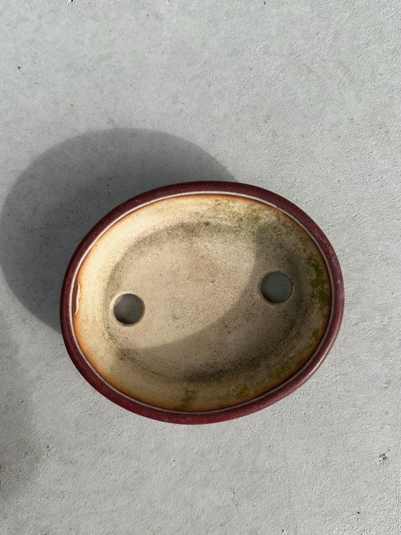 【名工】常滑焼 美功 盆栽鉢 4点まとめ売り 小品盆栽 梨地 貫入 海鼠釉