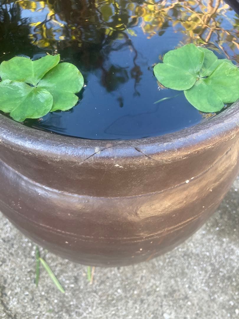 【古民具】大型 渋い黒釉 、ダークブラウン陶器の甕/壺 高さ50cm メダカ鉢