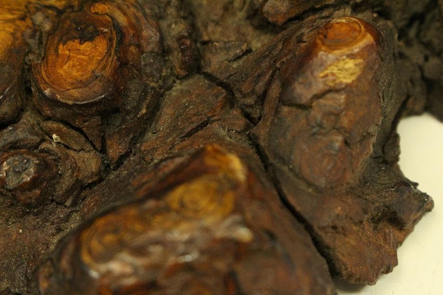 葡萄木 自然木 瘤 敷板 78cm×56cm 花梨 紅木 銘木(A466)