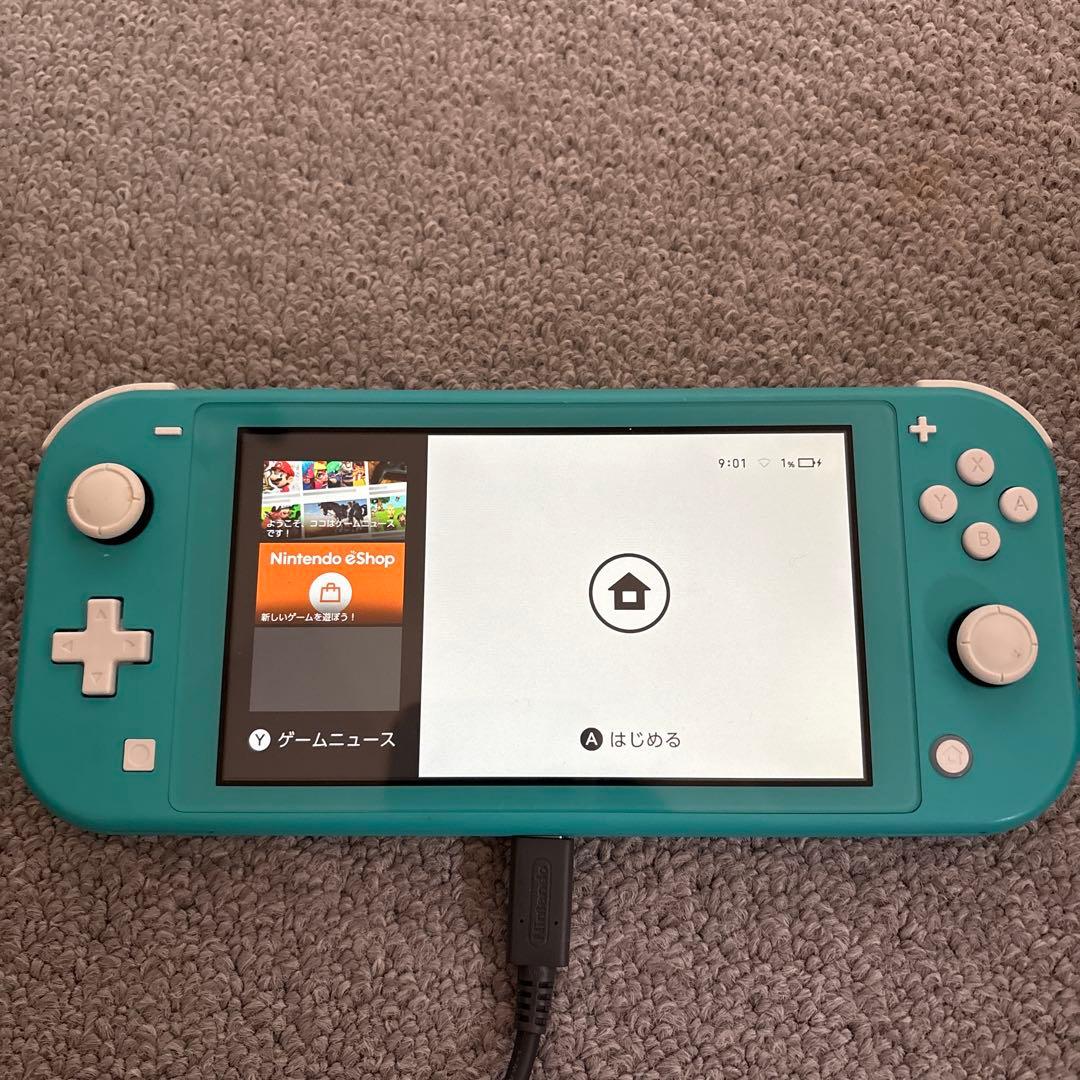Nintendo Switch Lite 本体と充電器のみ