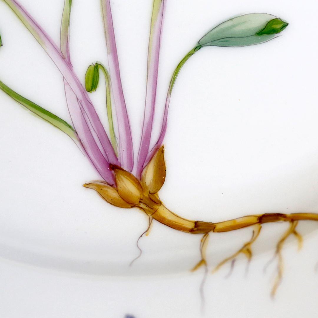 【極美品 レア】ロイヤルコペンハーゲン フローラダニカ プレート ②