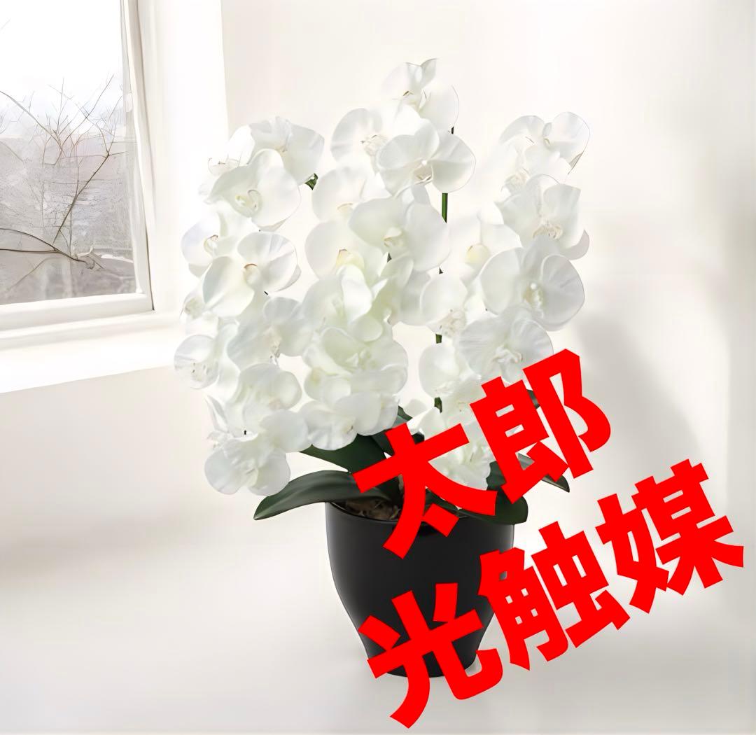 光触媒　人工観葉植物　ウォールグリーン　フェイクグリーン　プレミアム胡蝶蘭W