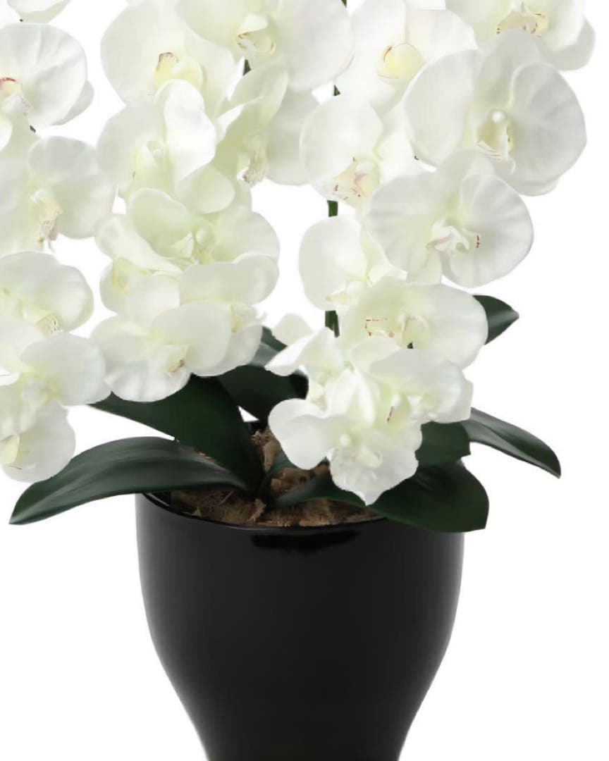 光触媒　人工観葉植物　ウォールグリーン　フェイクグリーン　プレミアム胡蝶蘭W