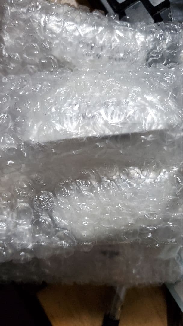 (げんごさま)コピアポア　エリオシケ　竜神木　種子セット