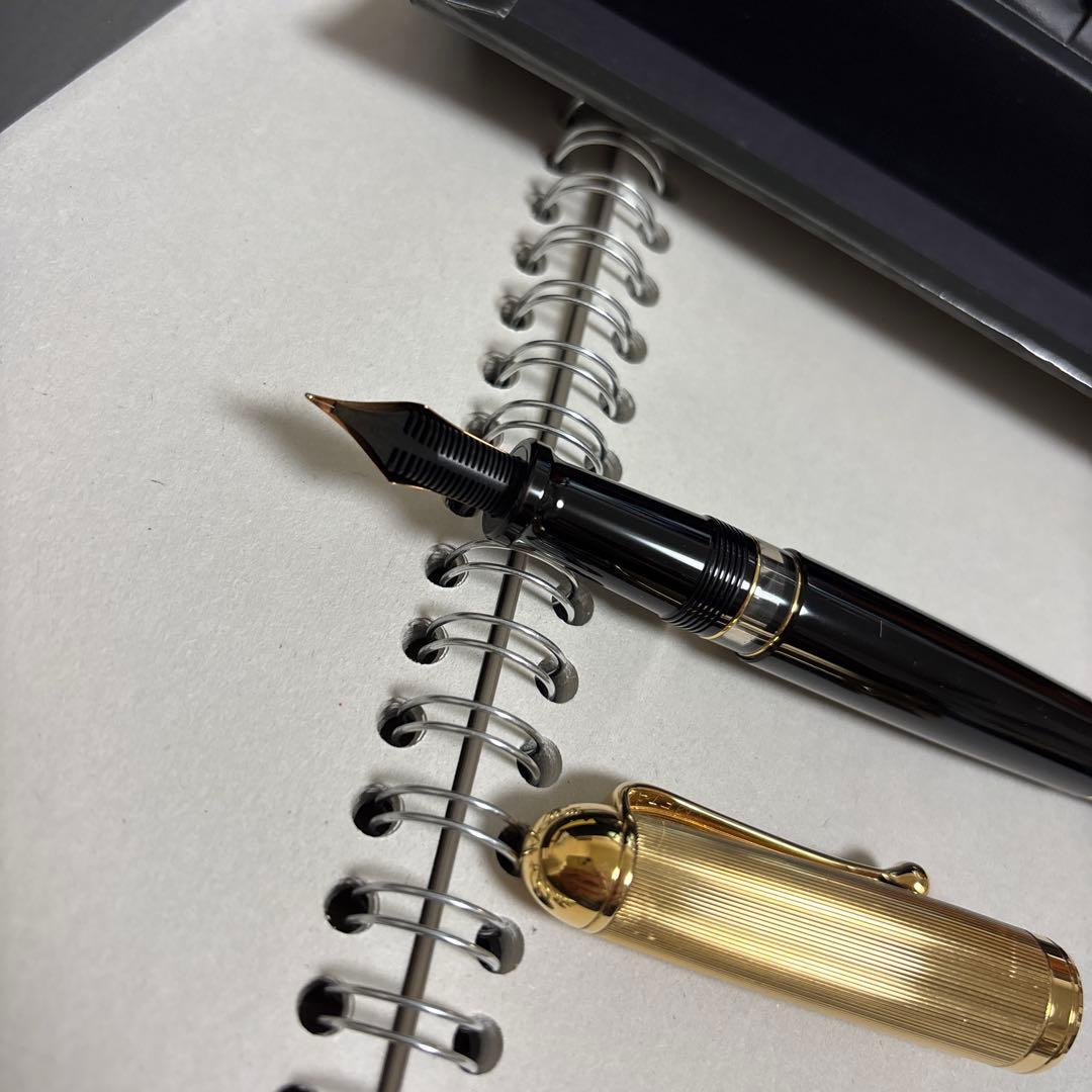 実質未使用 アウロラ 万年筆88 クラシック　F