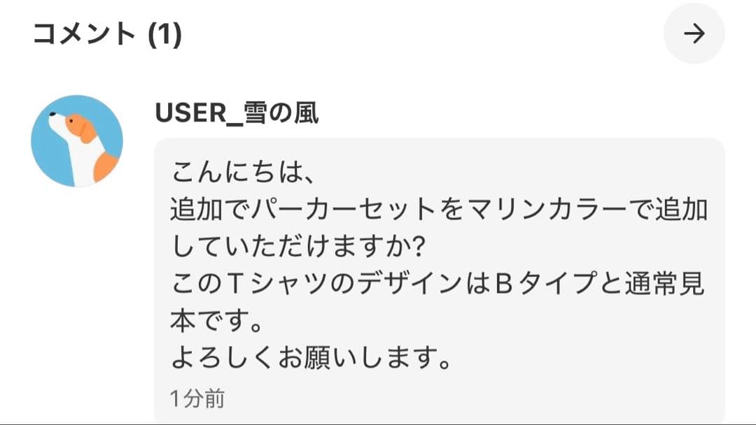 【USER_雪の風】オーダー品/10cmぬい服　マウンテンパーカ+Tシャツ