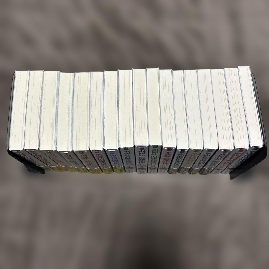 水属性の魔法使い 15冊 久宝忠 天野英 アニメ化