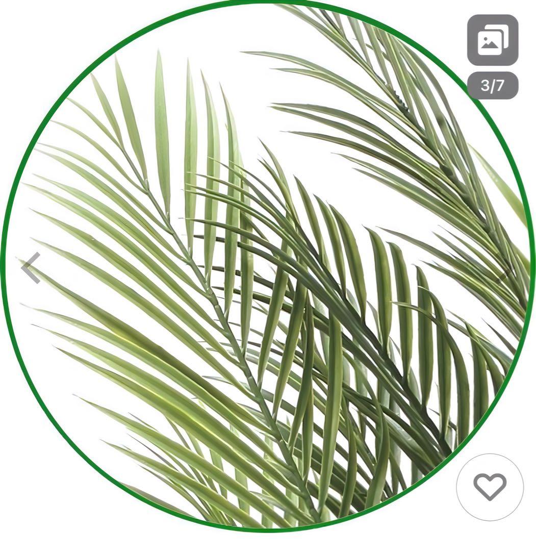 光触媒　人工観葉植物　ウォールグリーン　フェイクグリーン　アレカパーム1.7m