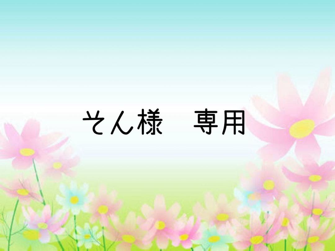 そん　グレー 23