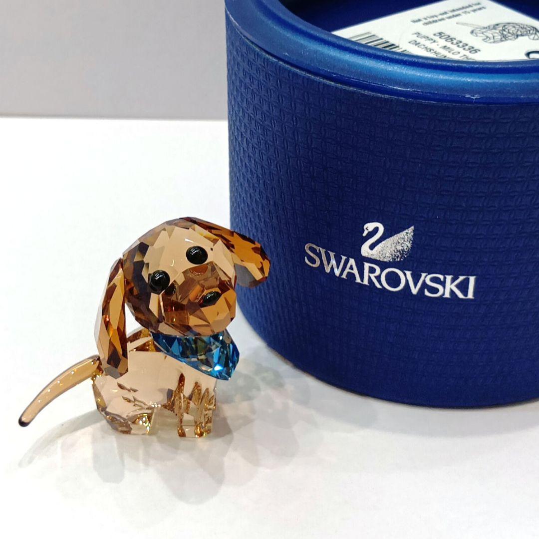 ⭐️SWAROVSKI⭐️Puppy Milo ダックスフンド 506336