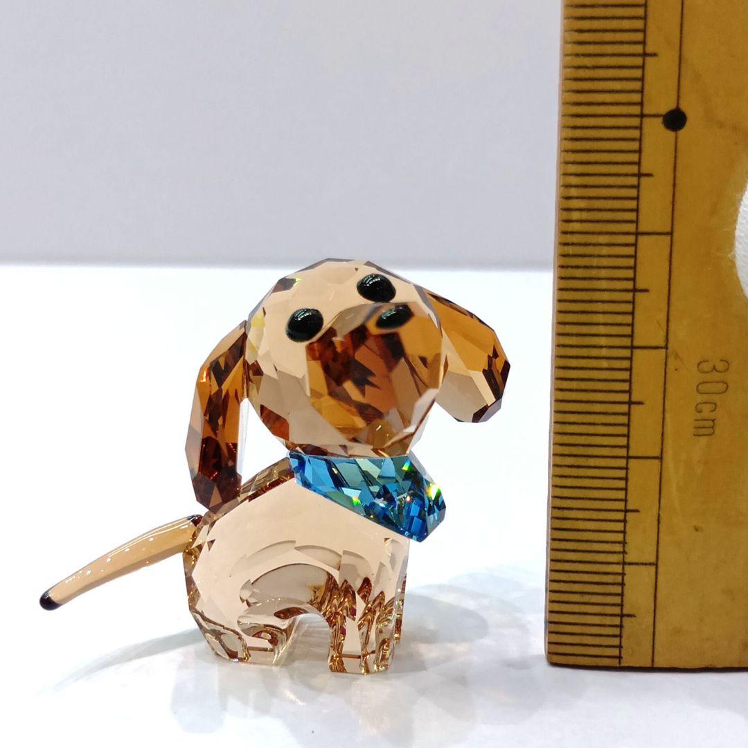 ⭐️SWAROVSKI⭐️Puppy Milo ダックスフンド 506336