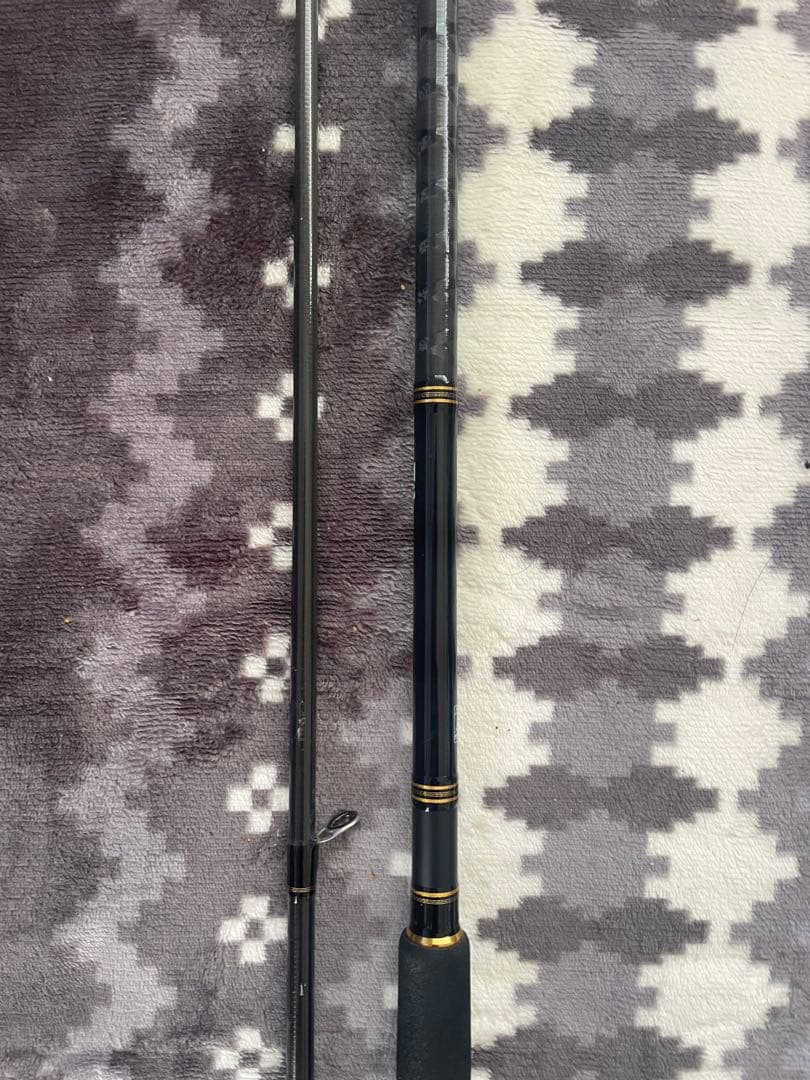 ロッド DAIWA SEABASS HUNTER X 106M