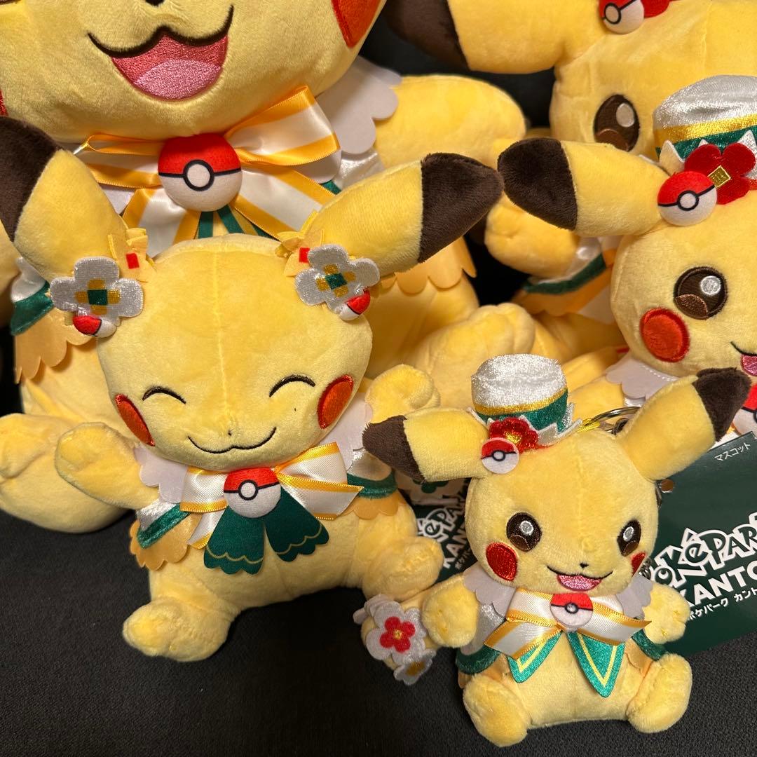 新品！　ポケパーク　カントー　 ショップ　限定 ピカチュウ　ぬいぐるみ5体セット