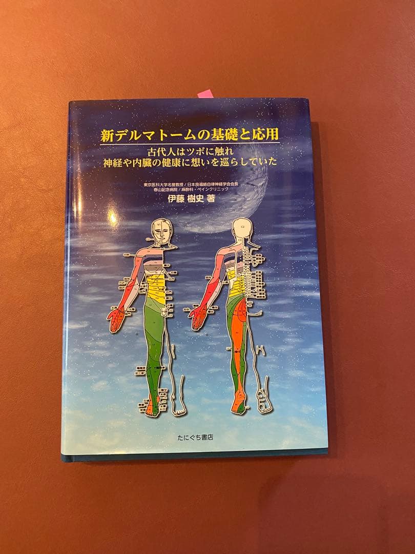 新デルマトームの基礎と応用