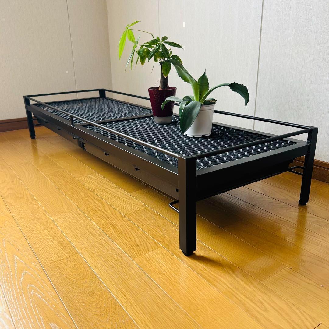 新春セール　植物棚　シェルフ　アガペラック 124cm x 41cm