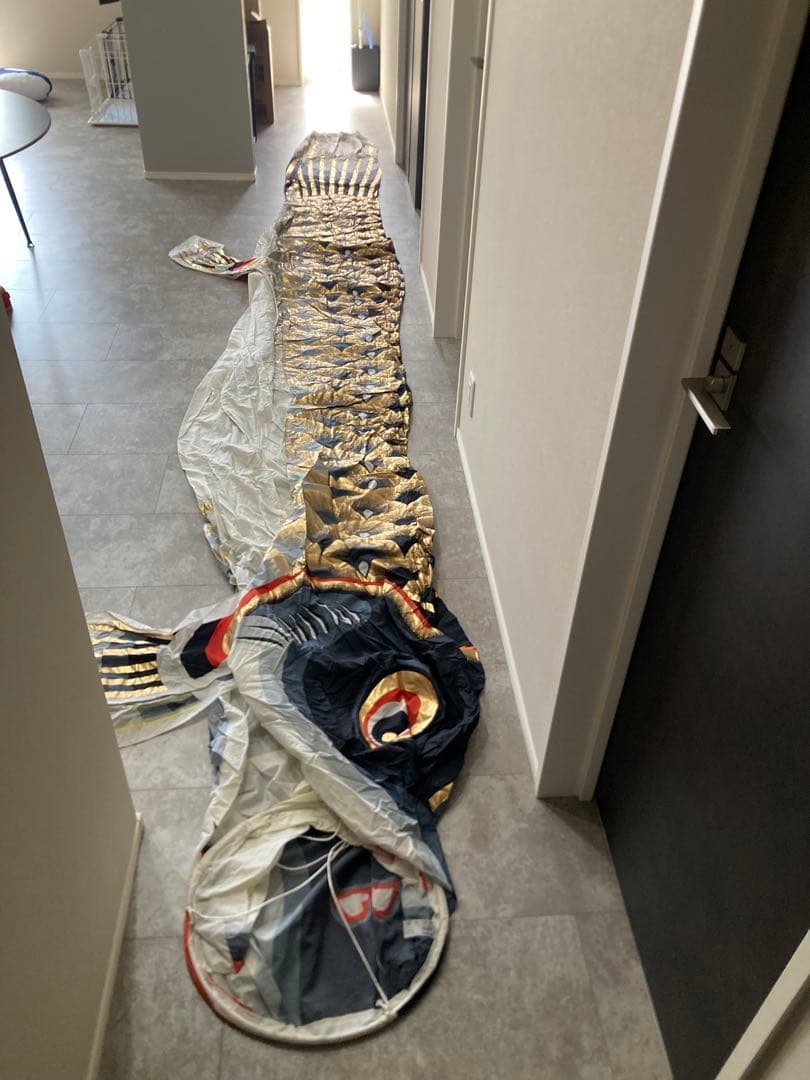 江戸6m5色・瑞祥吹流しセット こいのぼり 鯉のぼり