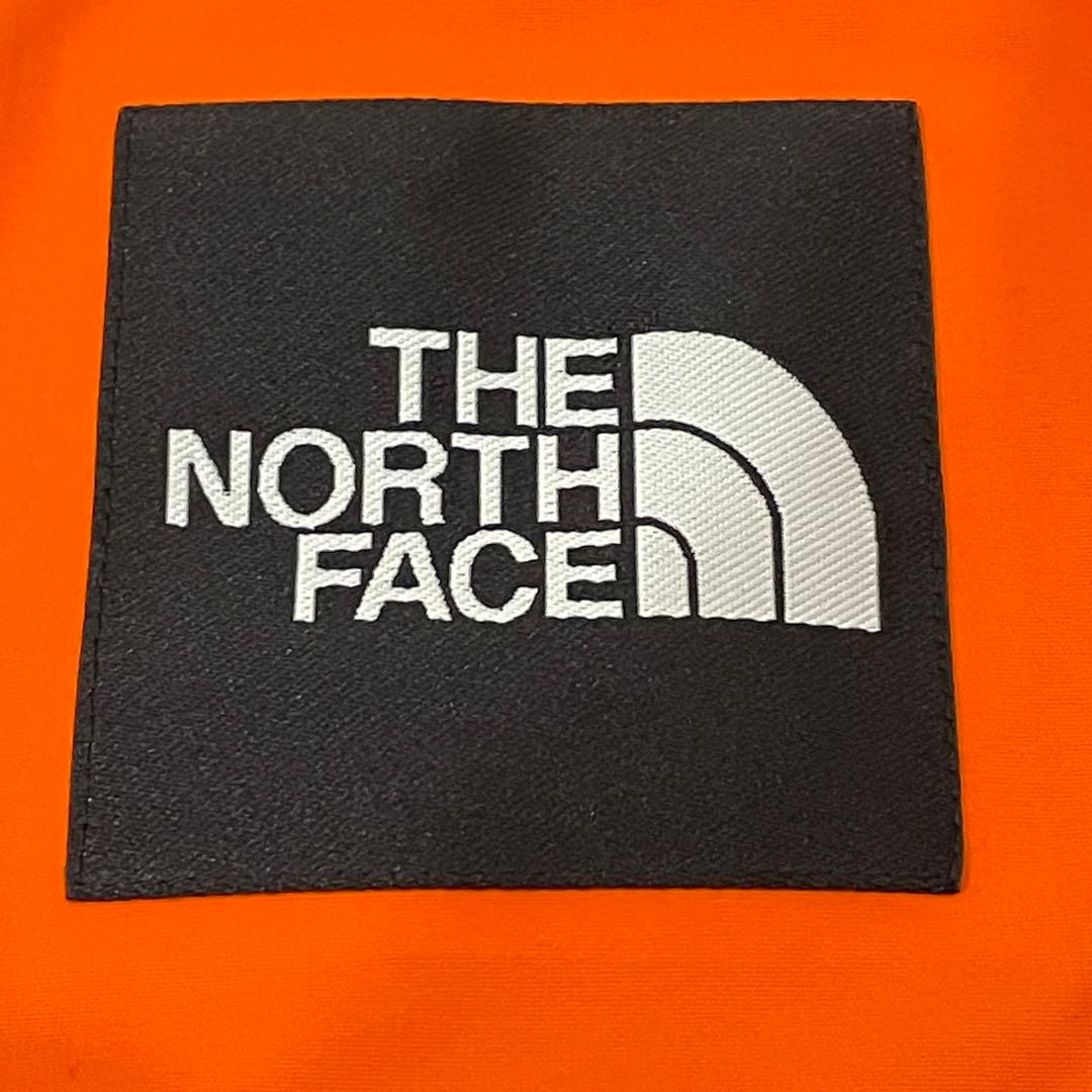 【美品】 ノースフェイス RAGE GTX Shell Jacket S