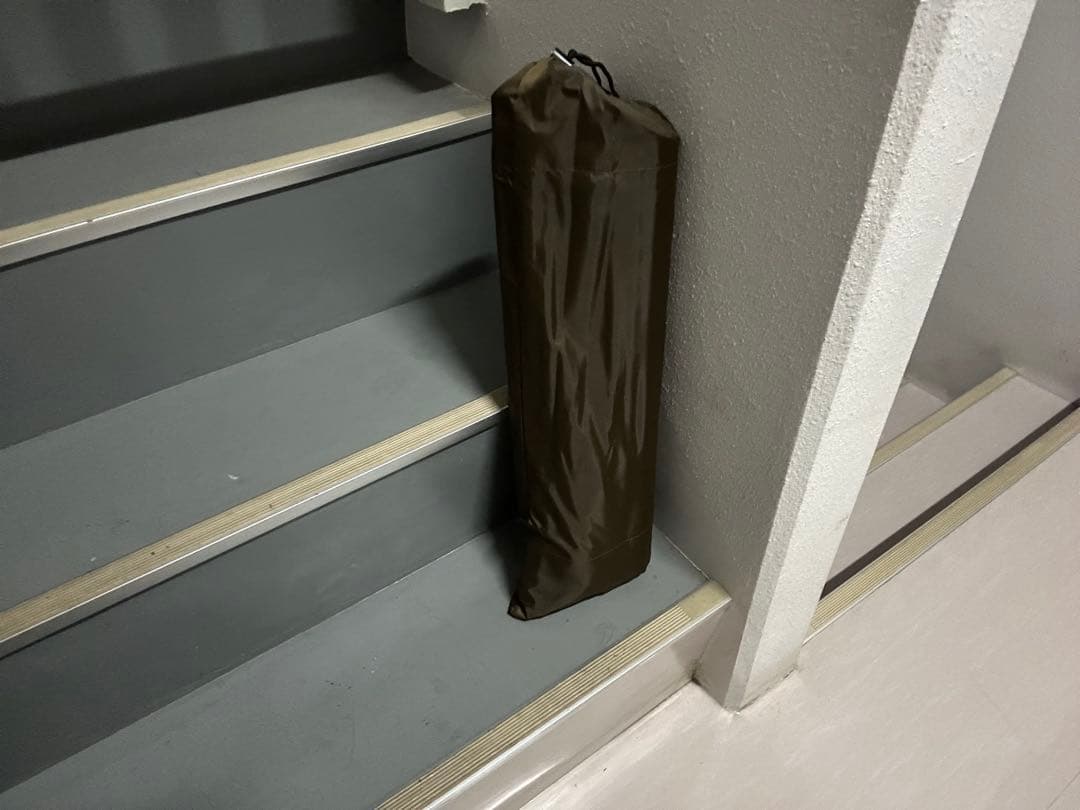 オガワ　ヴィガスⅡ