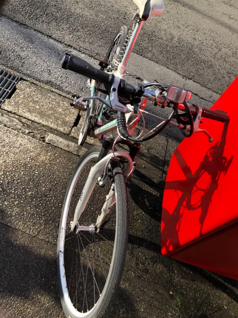 ビアンキ　スポーツ