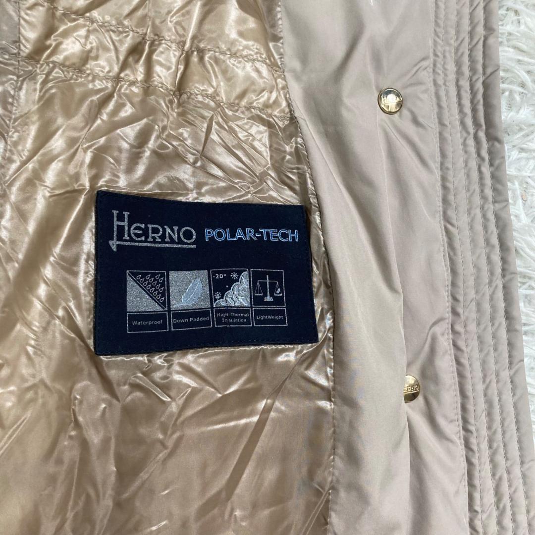 17518✨ヘルノ 42 LL ポーラーテック スタンドカラー ダウンコート
