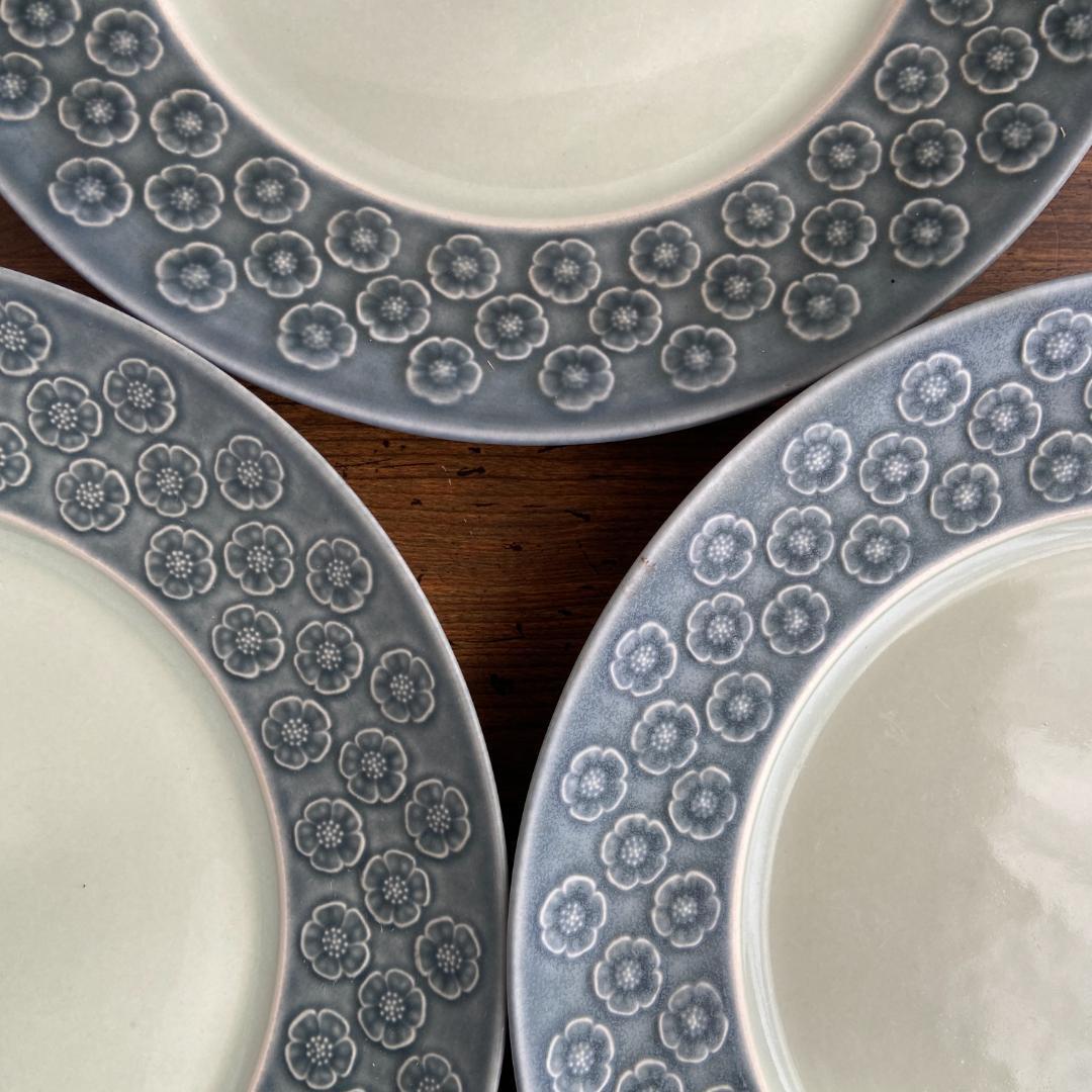 希少 クイストゴー AZUR アズール Φ21 スーププレート 深皿 1枚 B