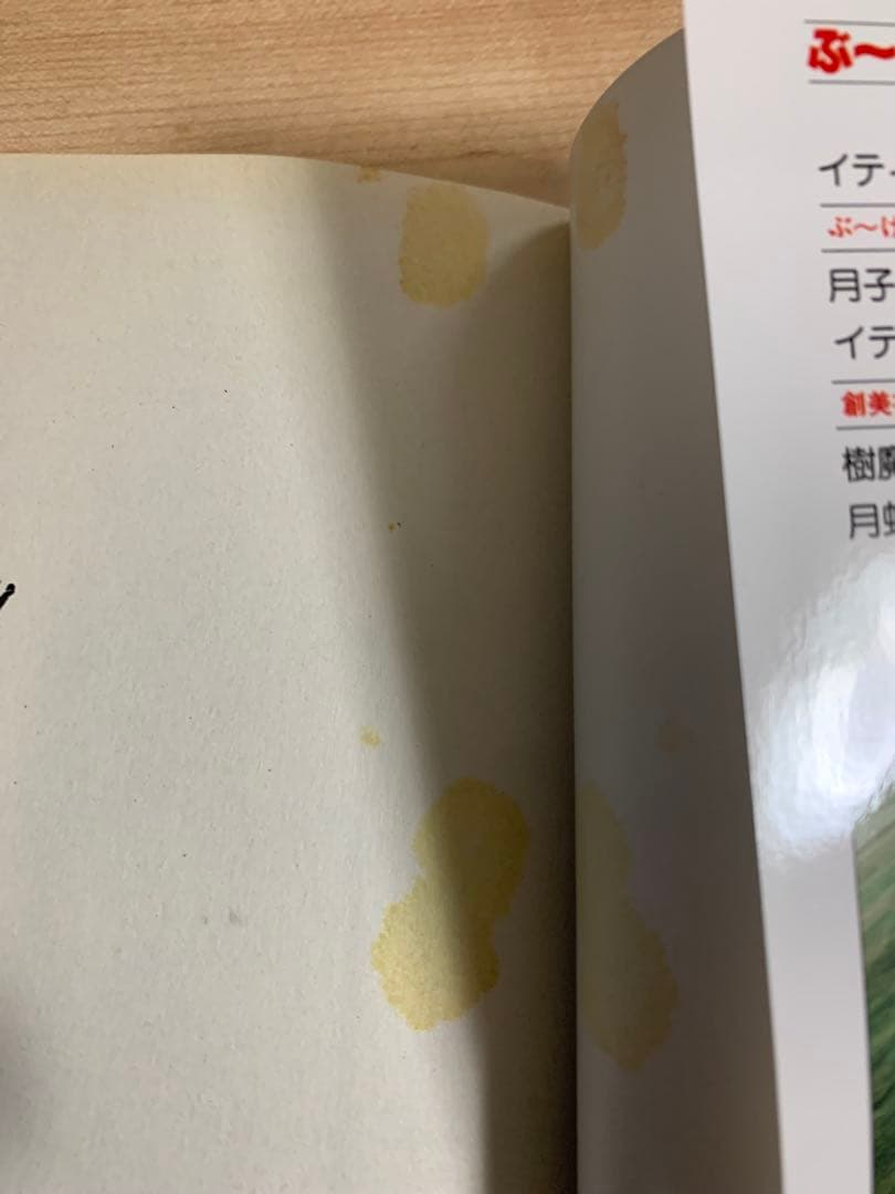イティハーサ 全15巻　セット 水樹和佳