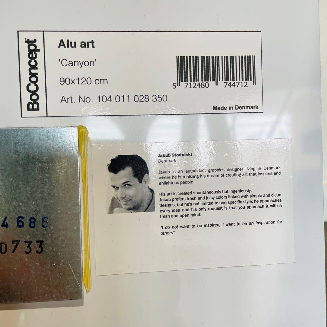 BoConcept アルミアート Canyon 90×120 北欧 抽象
