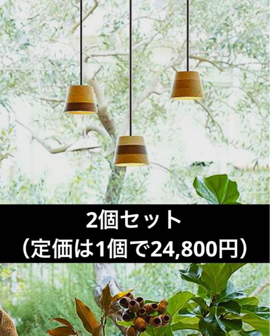 大光電機（DAIKO）ペンダントライト　DPN-41836YG 2個セット