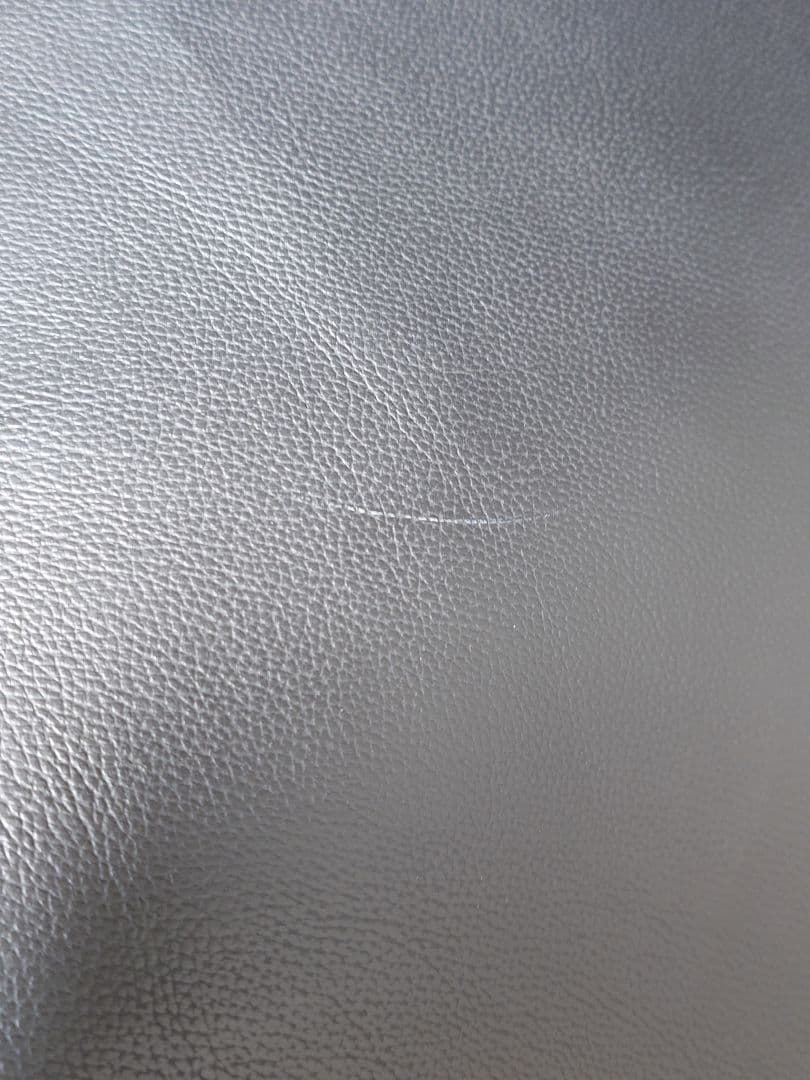 Looney Tunes キャディバッグ