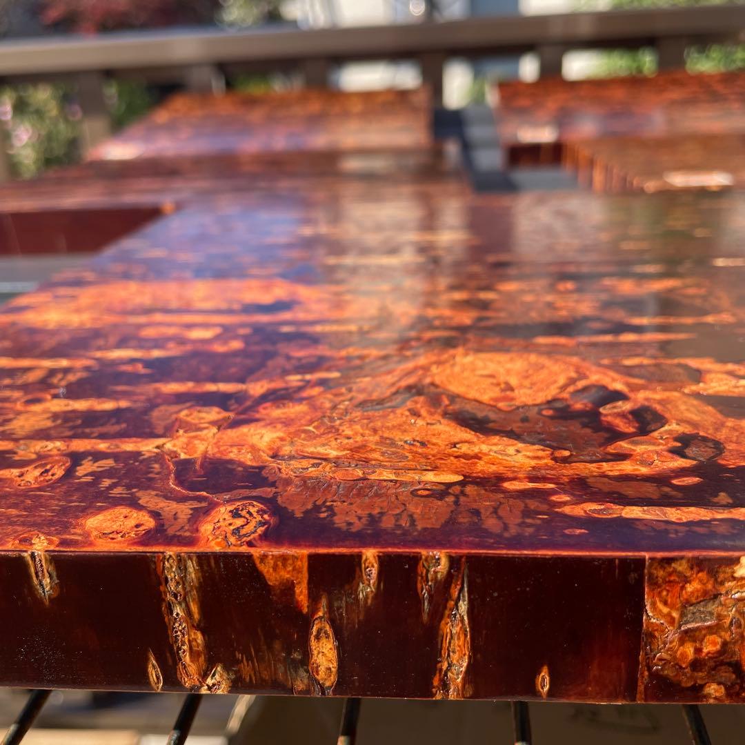 秋田角館桜皮　樺細工　お盆　伝統工芸品　新品未使用　5個セット