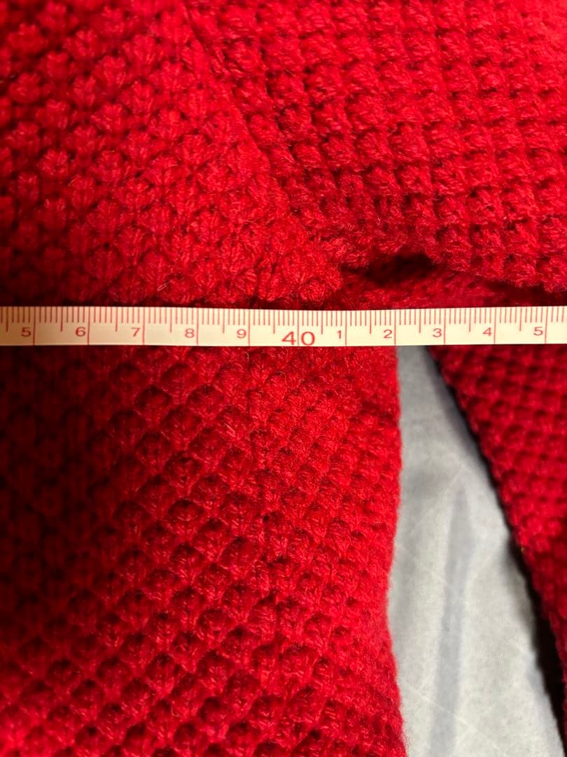 Aya Iinuma 　HERNO ダウンジャケット